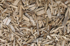 biomass boilers Almondvale